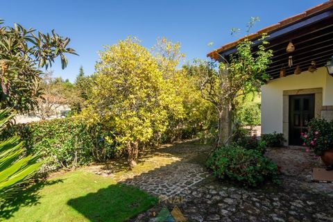 Villa i Arcos de Valdevez, Viana do Castelo, Arcos de Valdevez - € 700.000 | Ref: PTL-004-139 - foto 27