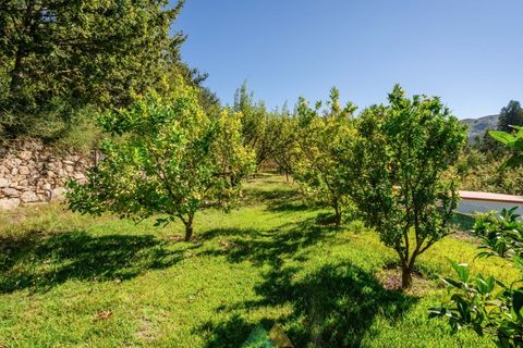 Villa i Arcos de Valdevez, Viana do Castelo, Arcos de Valdevez - € 700.000 | Ref: PTL-004-139 - foto 29