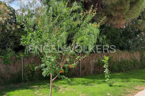 Villa a Almancil, Faro, Almancil - € 8.000/mes | Ref: W-04642U - foto 7