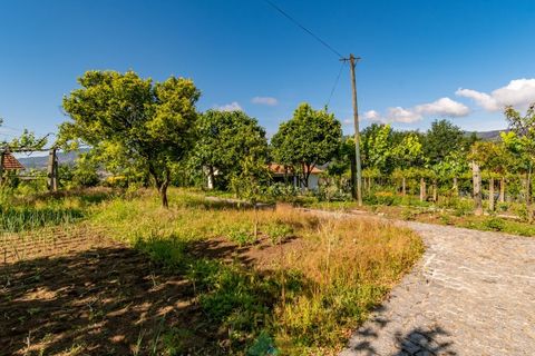 Villa i Amares, Braga, Amares - € 330.000 | Ref: AVV-005-042 - foto 43