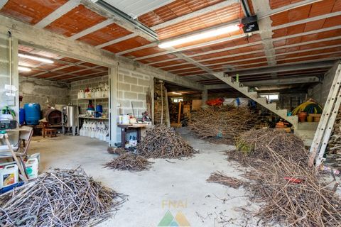 Villa i Amares, Braga, Amares - € 330.000 | Ref: AVV-005-042 - foto 46