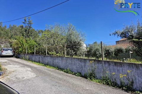 Villa i Macao, Santarem, Macao - € 189.000 | Ref: AA342 - foto 2