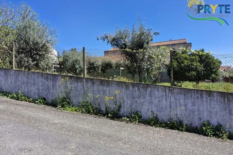 Villa i Macao, Santarem, Macao - € 189.000 | Ref: AA342 - foto 3