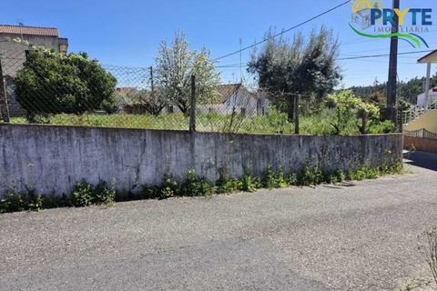 Villa i Macao, Santarem, Macao - € 189.000 | Ref: AA342 - foto 4