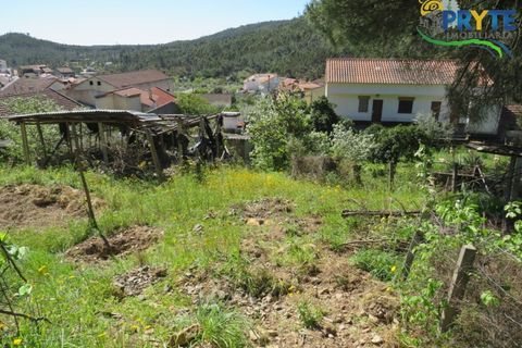 Villa i Macao, Santarem, Macao - € 189.000 | Ref: AA342 - foto 7