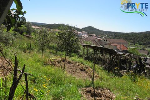 Villa i Macao, Santarem, Macao - € 189.000 | Ref: AA342 - foto 8