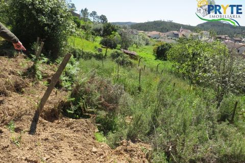 Villa i Macao, Santarem, Macao - € 189.000 | Ref: AA342 - foto 9