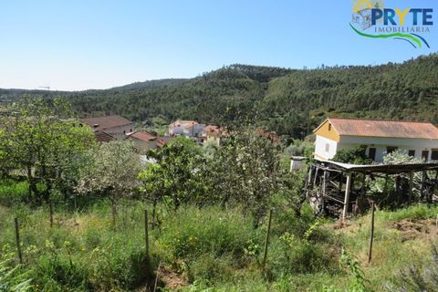 Villa i Macao, Santarem, Macao - € 189.000 | Ref: AA342 - foto 11
