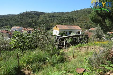 Villa i Macao, Santarem, Macao - € 189.000 | Ref: AA342 - foto 12