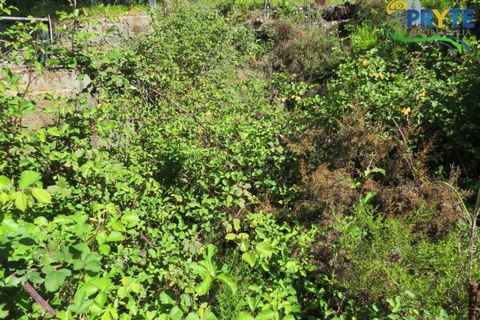 Villa i Macao, Santarem, Macao - € 189.000 | Ref: AA342 - foto 13