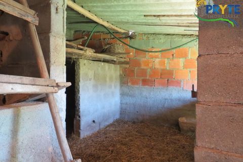 Villa i Macao, Santarem, Macao - € 189.000 | Ref: AA342 - foto 17