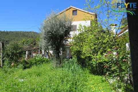 Villa i Macao, Santarem, Macao - € 189.000 | Ref: AA342 - foto 21