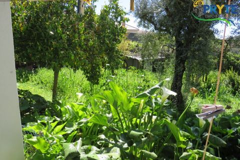 Villa i Macao, Santarem, Macao - € 189.000 | Ref: AA342 - foto 24