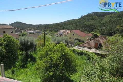 Villa i Macao, Santarem, Macao - € 189.000 | Ref: AA342 - foto 39