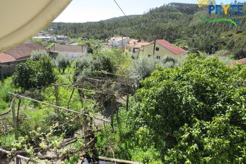 Villa i Macao, Santarem, Macao - € 189.000 | Ref: AA342 - foto 42
