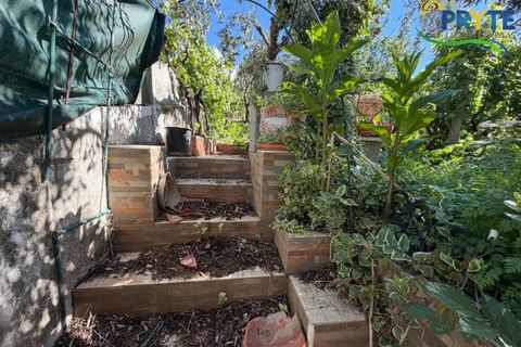 Villa a Troviscal, Castelo Branco, Troviscal - € 220.000 | Ref: MG173 - foto 44