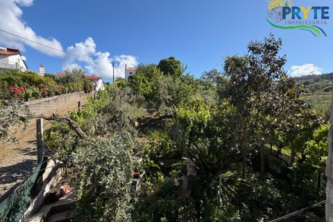 Villa a Troviscal, Castelo Branco, Troviscal - € 220.000 | Ref: MG173 - foto 46