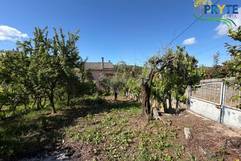 Villa a Troviscal, Castelo Branco, Troviscal - € 220.000 | Ref: MG173 - foto 48