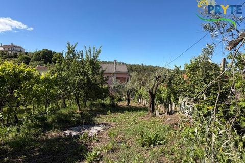 Villa a Troviscal, Castelo Branco, Troviscal - € 220.000 | Ref: MG173 - foto 49