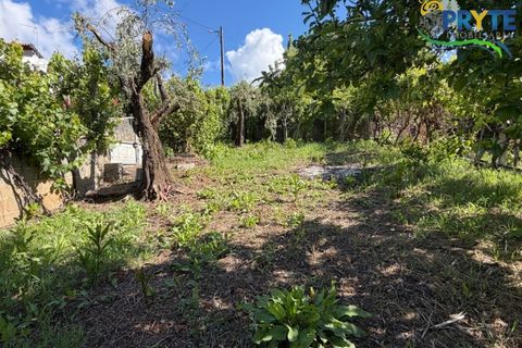 Villa a Troviscal, Castelo Branco, Troviscal - € 220.000 | Ref: MG173 - foto 50