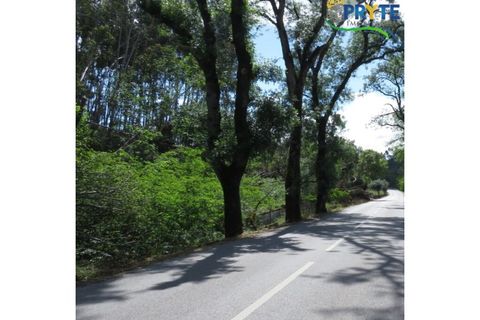 Granja a Serta, Castelo Branco, Serta - € 269.000 | Ref: SO26 - foto 13