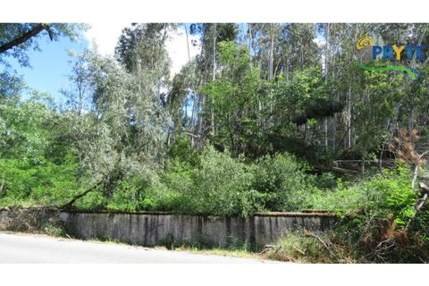 Granja a Serta, Castelo Branco, Serta - € 269.000 | Ref: SO26 - foto 14