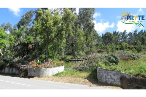 Granja a Serta, Castelo Branco, Serta - € 269.000 | Ref: SO26 - foto 15