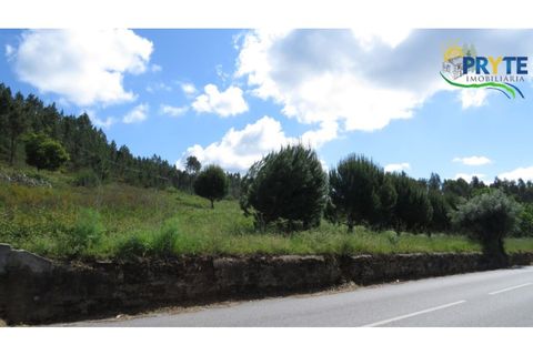 Granja a Serta, Castelo Branco, Serta - € 269.000 | Ref: SO26 - foto 16