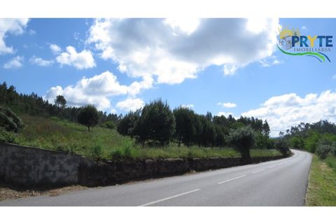 Granja a Serta, Castelo Branco, Serta - € 269.000 | Ref: SO26 - foto 18