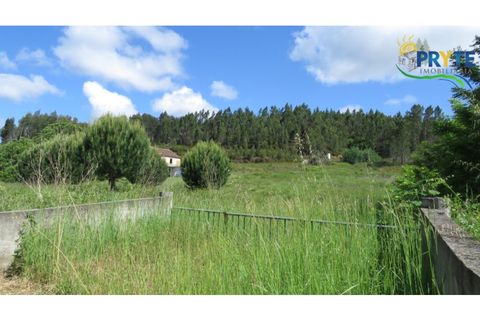 Granja a Serta, Castelo Branco, Serta - € 269.000 | Ref: SO26 - foto 23