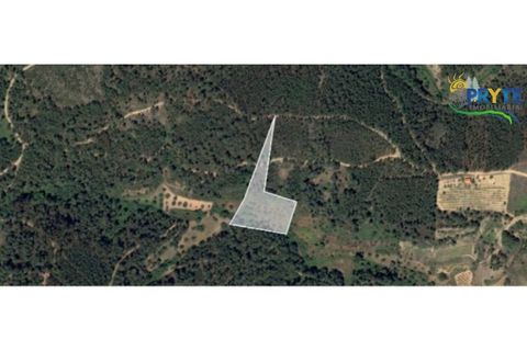 Helårsgrund i Proenca-a-Nova, Castelo Branco, Proenca-a-Nova - € 24.900 | Ref: SO27 - foto 6