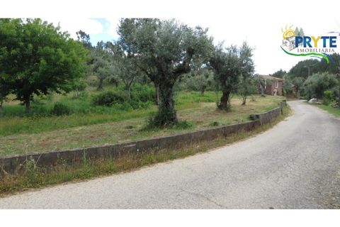 Helårsgrund i Proenca-a-Nova, Castelo Branco, Proenca-a-Nova - € 9.500 | Ref: SO25 - foto 1