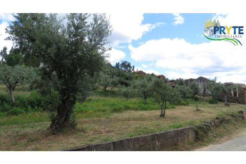 Helårsgrund i Proenca-a-Nova, Castelo Branco, Proenca-a-Nova - € 9.500 | Ref: SO25 - foto 5