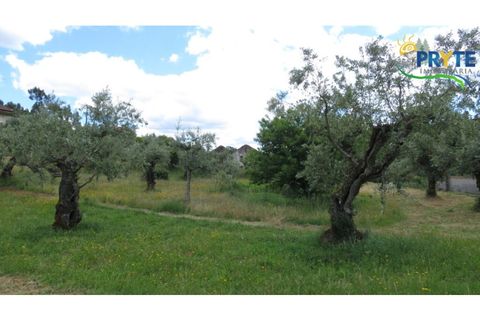 Helårsgrund i Proenca-a-Nova, Castelo Branco, Proenca-a-Nova - € 9.500 | Ref: SO25 - foto 7