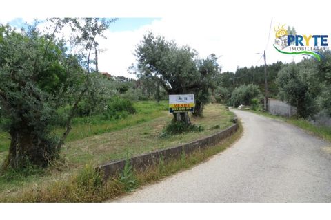 Helårsgrund i Proenca-a-Nova, Castelo Branco, Proenca-a-Nova - € 9.500 | Ref: SO25 - foto 8