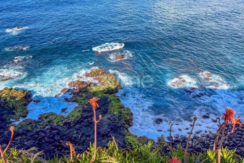 Villa i Ribeira Grande, Sao Miguel, Ribeira Grande - € 259.348 | Ref: ZMPT588603 - foto 37