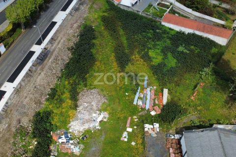 Terra a Sao Roque, Madeira, Sao Roque - € 185.000 | Ref: ZMPT588491 - foto 22