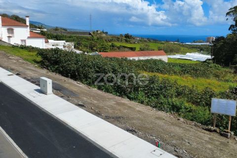 Terra a Sao Roque, Madeira, Sao Roque - € 185.000 | Ref: ZMPT588491 - foto 25