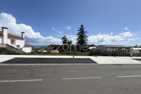 Terra a Sao Roque, Madeira, Sao Roque - € 185.000 | Ref: ZMPT588491 - foto 32