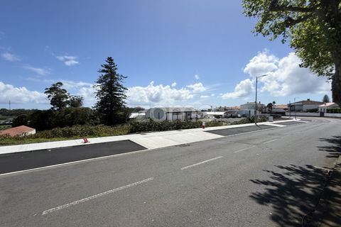 Terra a Sao Roque, Madeira, Sao Roque - € 185.000 | Ref: ZMPT588491 - foto 33