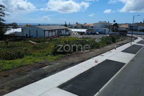 Terra a Sao Roque, Madeira, Sao Roque - € 185.000 | Ref: ZMPT588491 - foto 30