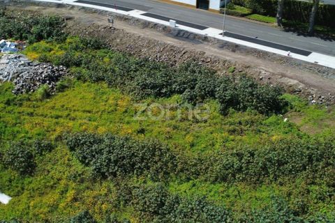 Helårsgrund i Sao Roque, Madeira, Sao Roque - € 330.000 | Ref: ZMPT588494 - foto 29