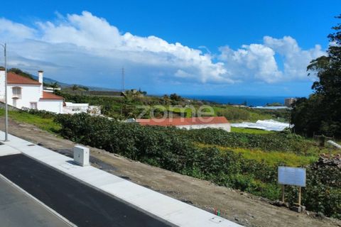 Terra a Sao Roque, Madeira, Sao Roque - € 195.000 | Ref: ZMPT588493 - foto 24