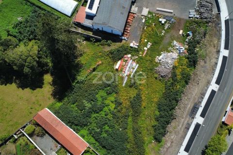 Terra a Sao Roque, Madeira, Sao Roque - € 195.000 | Ref: ZMPT588493 - foto 29