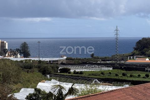 Terra a Sao Roque, Madeira, Sao Roque - € 195.000 | Ref: ZMPT588493 - foto 31