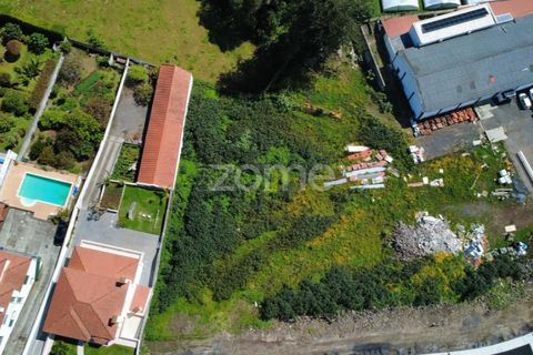 Terra a Sao Roque, Madeira, Sao Roque - € 195.000 | Ref: ZMPT588493 - foto 27