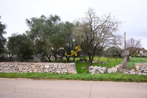 Landejendom i Noci, Bari, Noci - € 30.000 | Ref: R 563 - foto 2