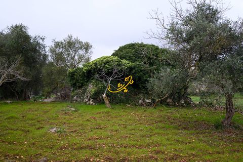 Landejendom i Noci, Bari, Noci - € 30.000 | Ref: R 563 - foto 3