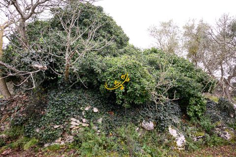 Landejendom i Noci, Bari, Noci - € 30.000 | Ref: R 563 - foto 10