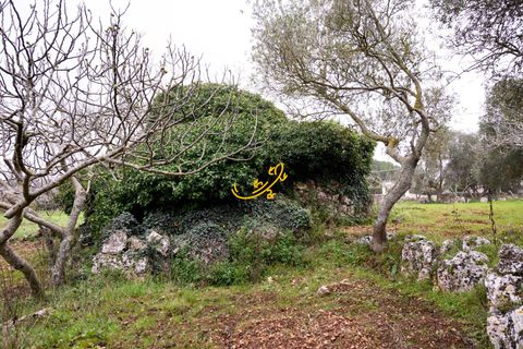 Landejendom i Noci, Bari, Noci - € 30.000 | Ref: R 563 - foto 11